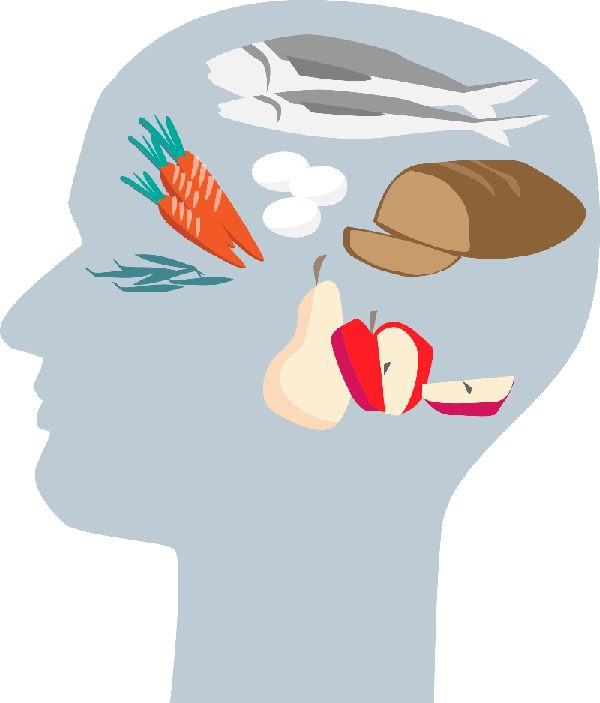 Unser Gehirn passt sich dem an, wozu wir es nutzen und wie wir uns ernähren!