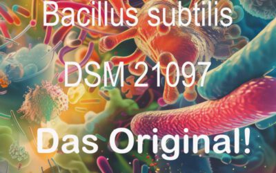 Wenn dein Agni (Verdauungsfeuer) lodert, brennt auch deine Lebensenergie