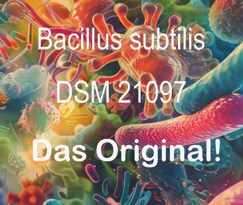 Wenn dein Agni (Verdauungsfeuer) lodert, brennt auch deine Lebensenergie