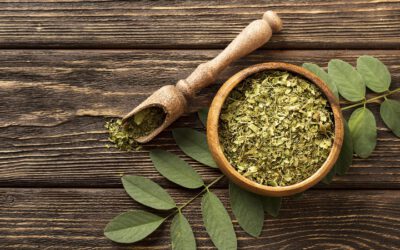 Moringa Oleifera – Baum des Lebens im Ayurveda