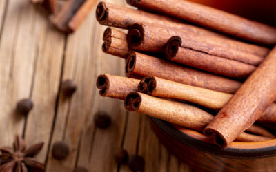 Zimt im Ayurveda – ein betörender Duft für die Sinne