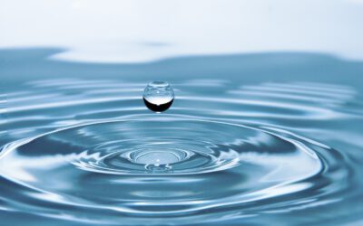 Ayurvedaküche trifft lebendiges Wasser