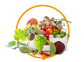 Ayurveda Ernährungsberatung